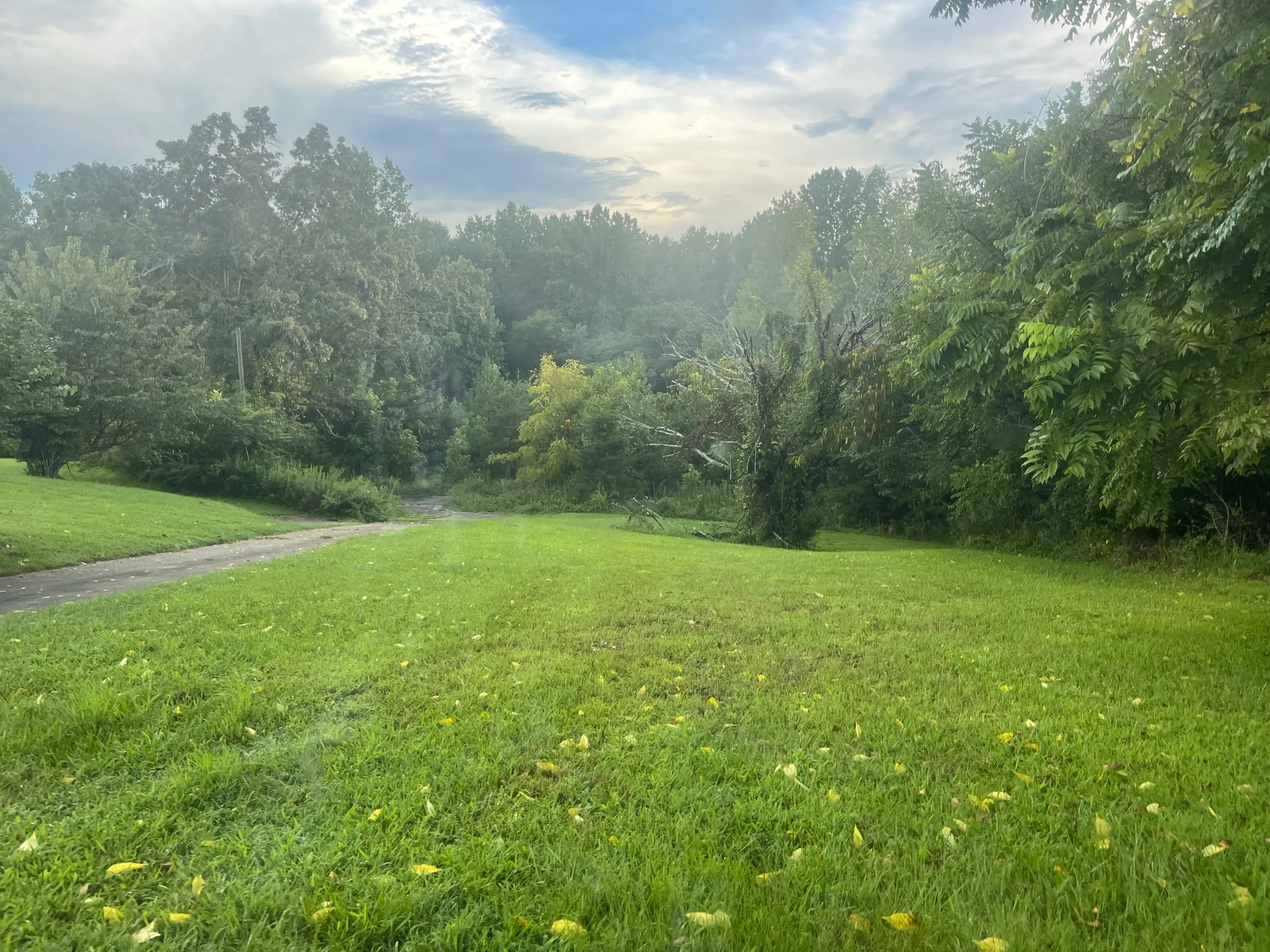Open pasture land with a tree line in East Tennessee